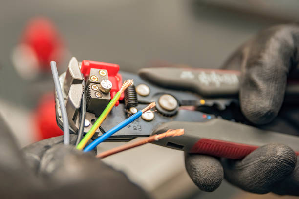 Best Licensed Electrician  in Pilot Point, TX